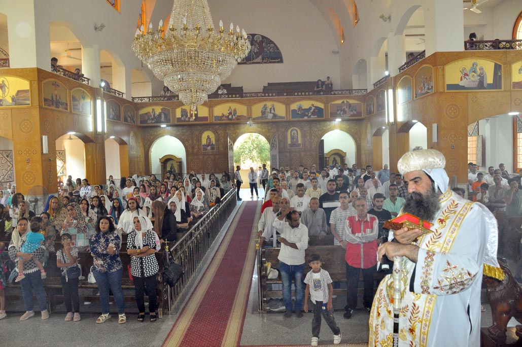 DSC_0256
