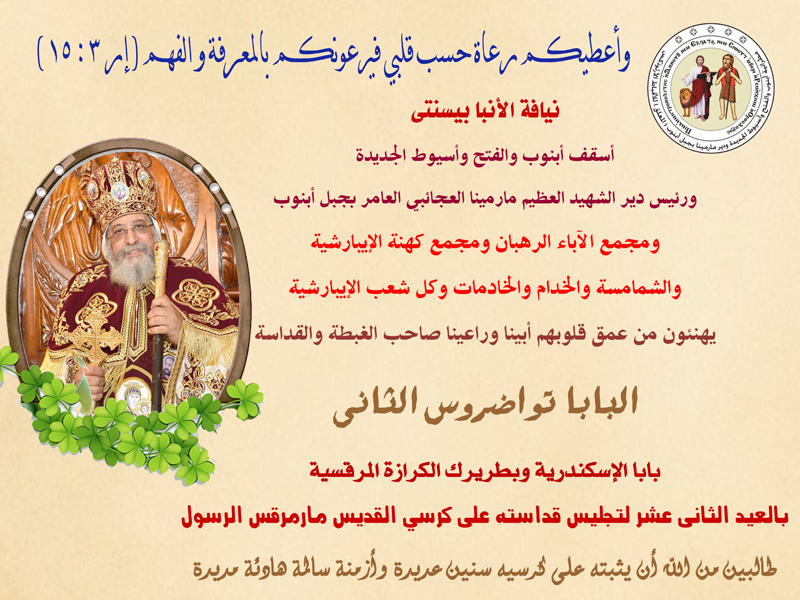 tahnaa elbaba